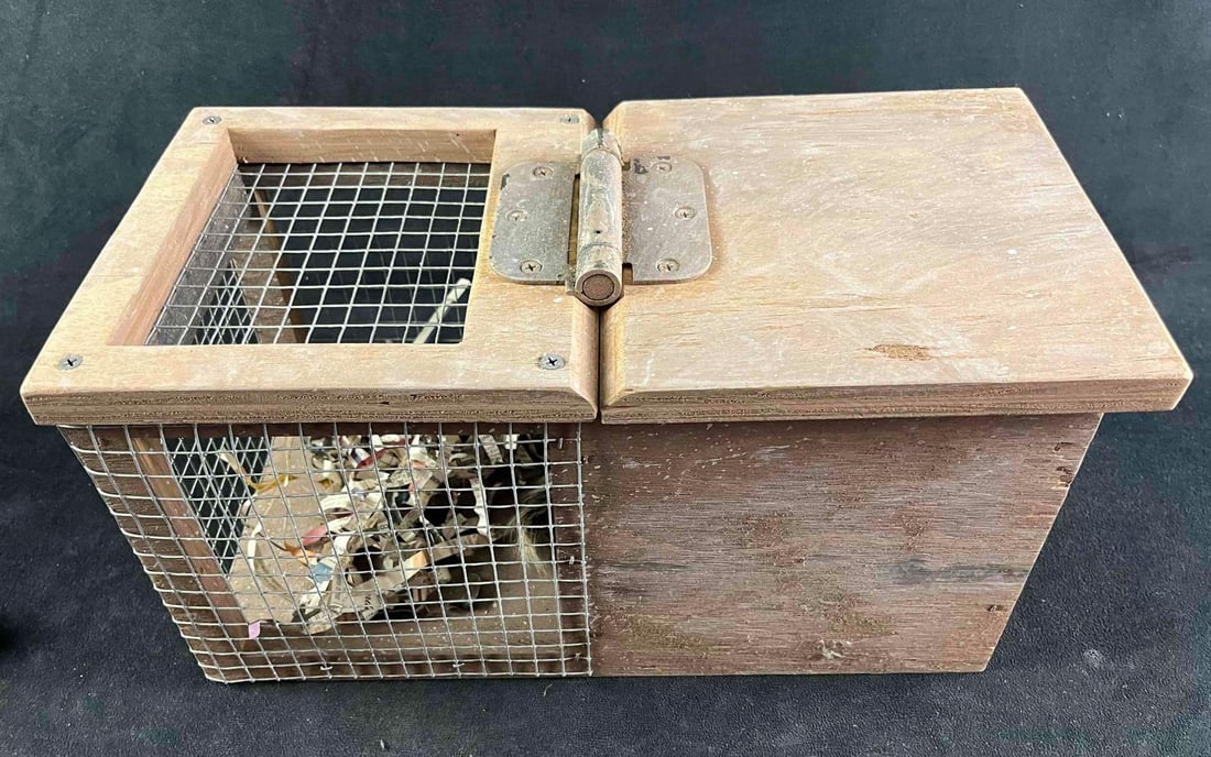 Prop Prank Squirrel Trap Piratical Joke Animal Trap: Prop Prank Squirrel Trap Piratical Joke Animal Trap This is is practical joke squirrel trap. This was handmade by a prop house to be used in local commercials. The "trap" is a faux tail 