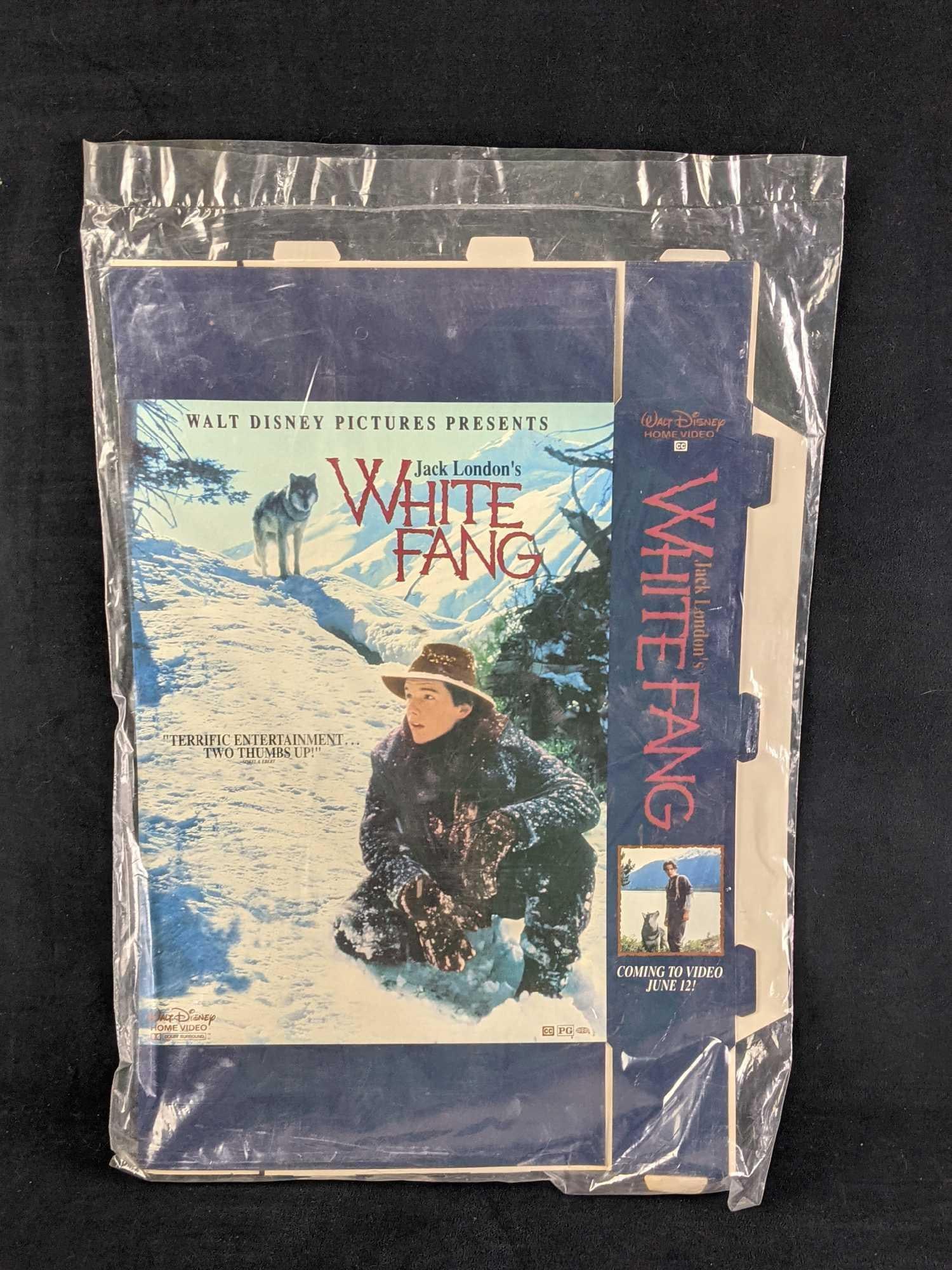 Video Store Box Display Disney White Fang Movie: This is a display for Disney's "White Fang" movie. It was used to announce the upcoming video release for the movie, "White Fang" and would be sent to video stores and department stores. This dis