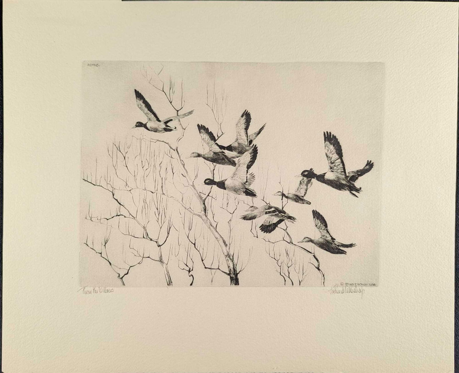 Original Richard E Bishop Etching: Original Richard E Bishop Etching; Titled "Thru The Willows". This talio-crome print reproduction is unframed and in excellent condition. Is approx 15" x 12 1/2" and it weighs 0.06lb. There are a few