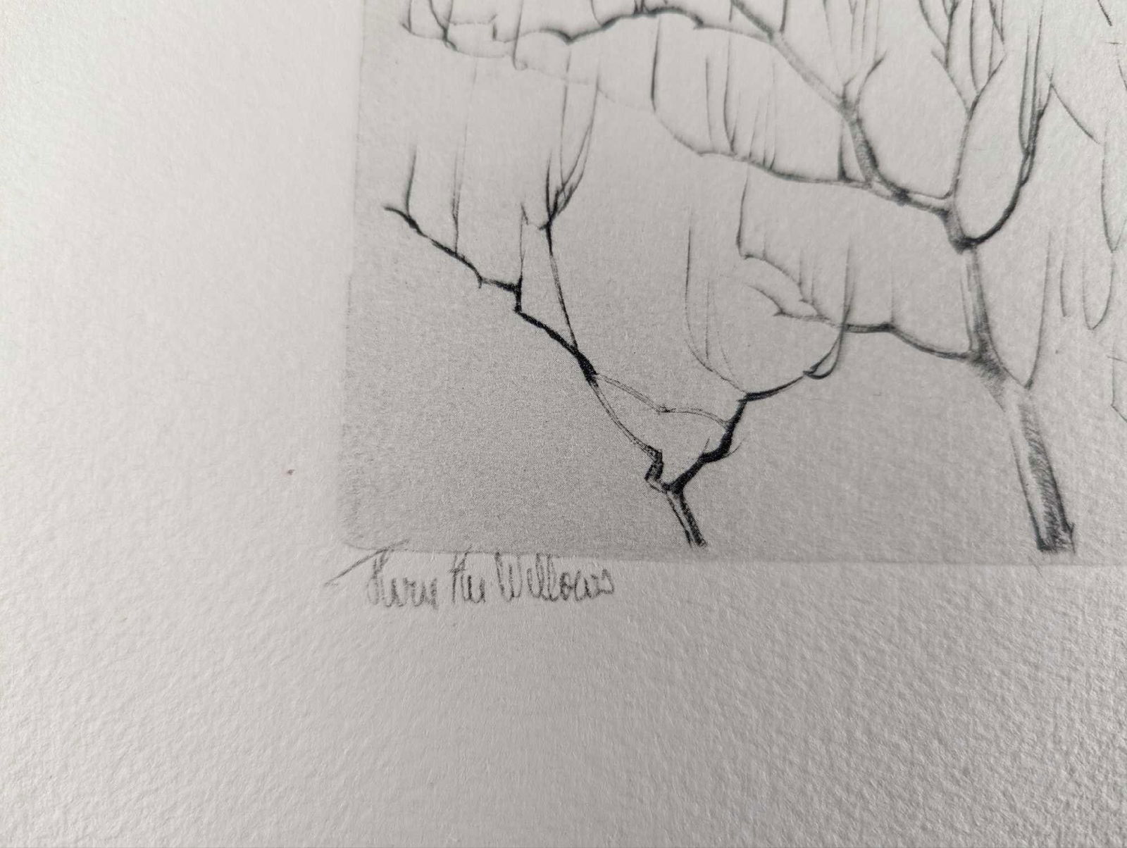 Original Richard E Bishop Etching - 4