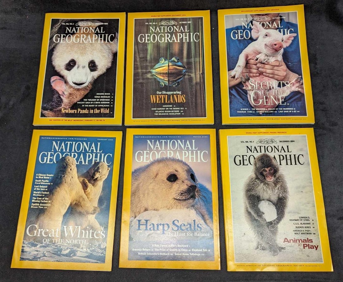 6 1990s 2000s National Geographic Magazines Q: 6 1990s 2000s National Geographic Magazines Q. This lot includes: (1) October 1992 - Our Disappearing Wetlands. (1) October 1999 - Secrets Of The Gene. (1) February 1993 - Newborn Pand