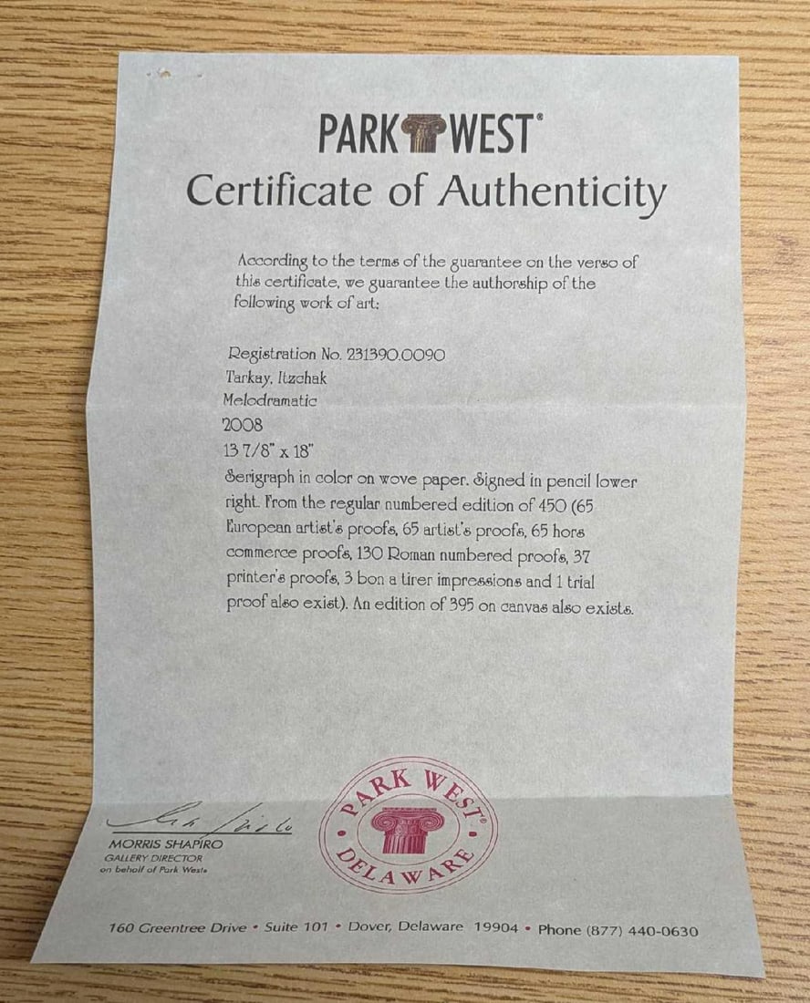 Framed S&N Itzchak Tarkay Melodramatic - 5