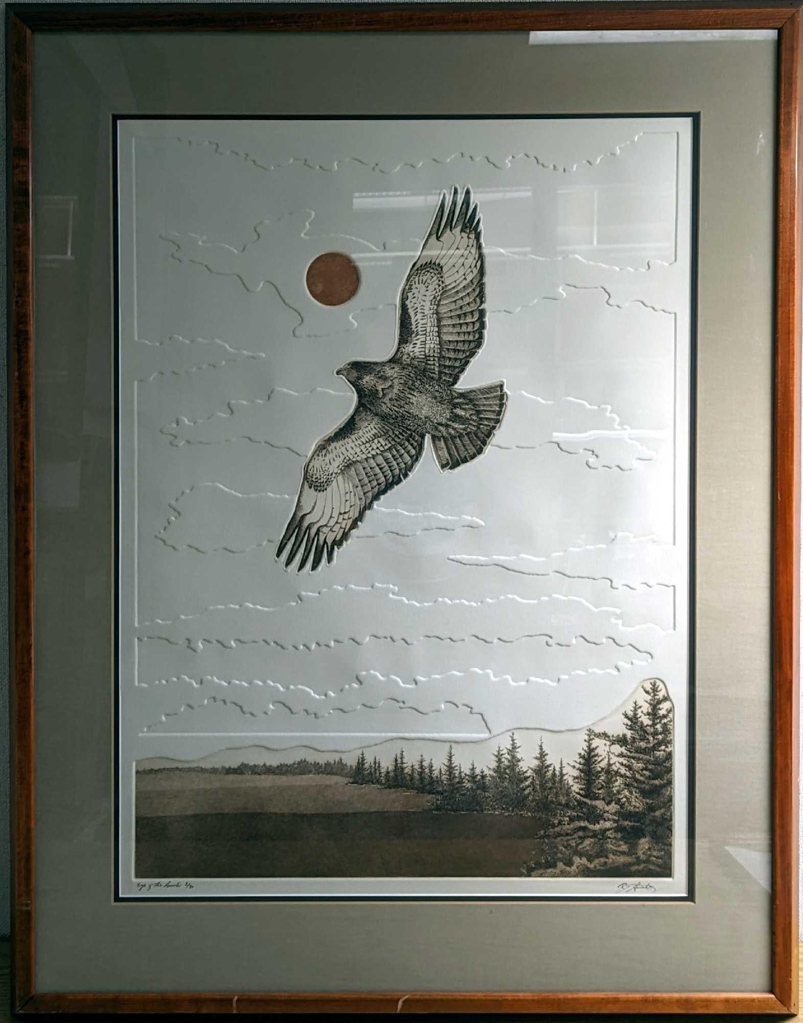 "F20" S&N Eyes Of The Hawk Textured Print: "F20" S&N Eyes Of The Hawk Textured Print. This one is #3 out of #80. This print was made on textured paper, giving it almost a 3D appearance. The print was numbered on the bottom left and signed on t