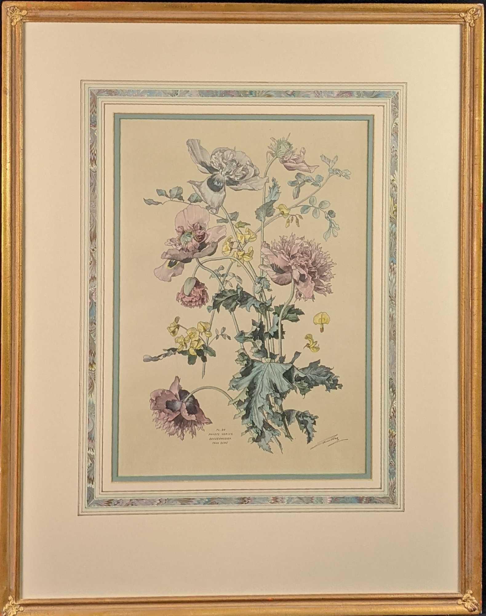 Vintage Framed Botanical Pavots Varies Poppies Print: "Pavots Varies Baguenaudier Faux Sene" Print made from Plate #54. The print was signed by the artist on the bottom right. Framed print is approx 25" x 1" x 31". The print is approx 13" x 18". Framed a