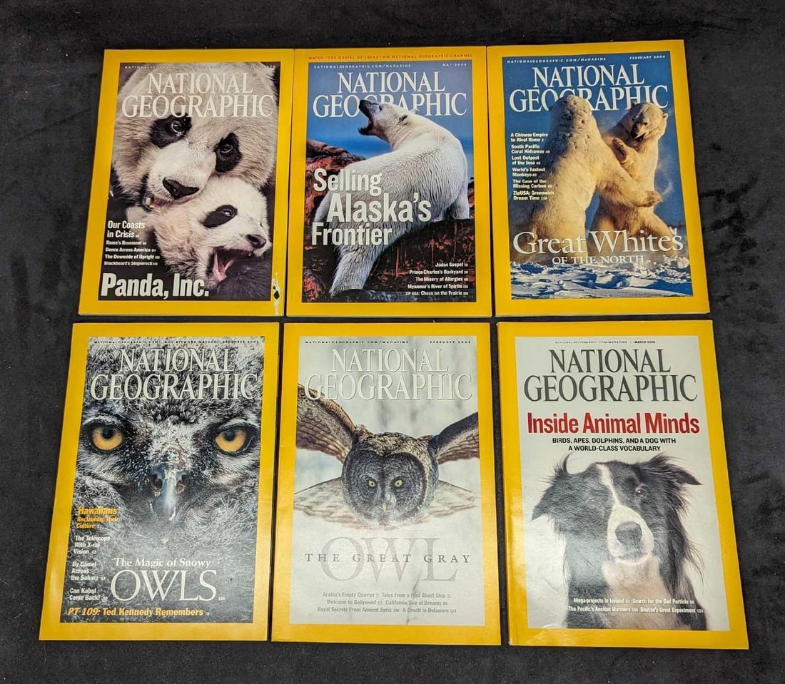 6 National Geographic Magazines Animals & Bears & Owls: 6 National Geographic Magazines Animals & Bears & Owls. This lot includes: (1) May 2006 - Selling Alaska's Frontier.(1) February 2004 - Great White Of The North.(1) July 2006 - Panbda,