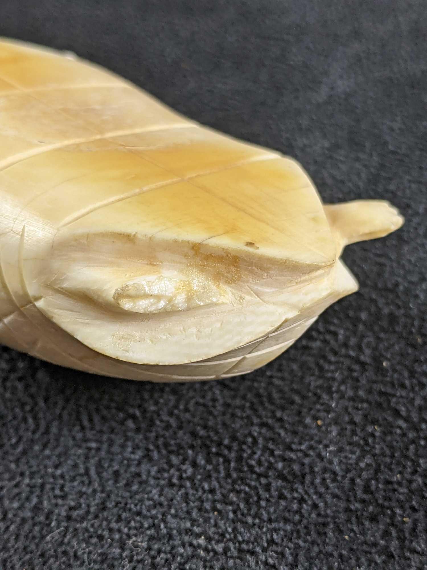 Rare Antique Bone Carved Turtle - 5