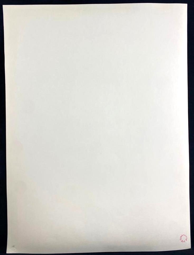 Richard Anuszkiewicz "New Glory" Signed Seriegraph - 8