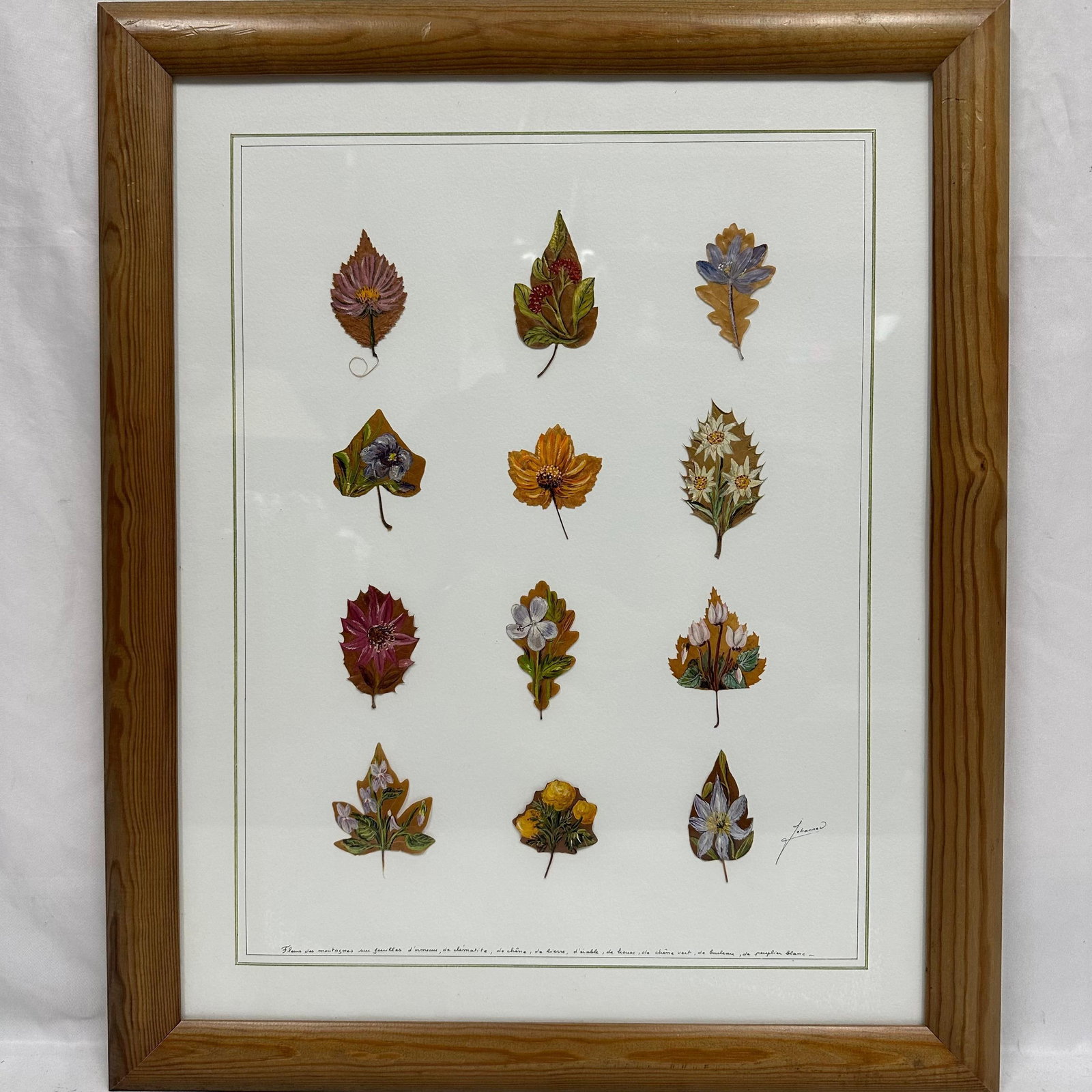 Framed Mixed Media Botanical Artwork by Johanne Olivain Painted Flowers on Natural Leaves: Beautiful mixed media artwork featuring twelve individually painted mountain flowers, each rendered on a real dried natural leaf. Signed Johanne O. on the front and titled in French along the bottom.