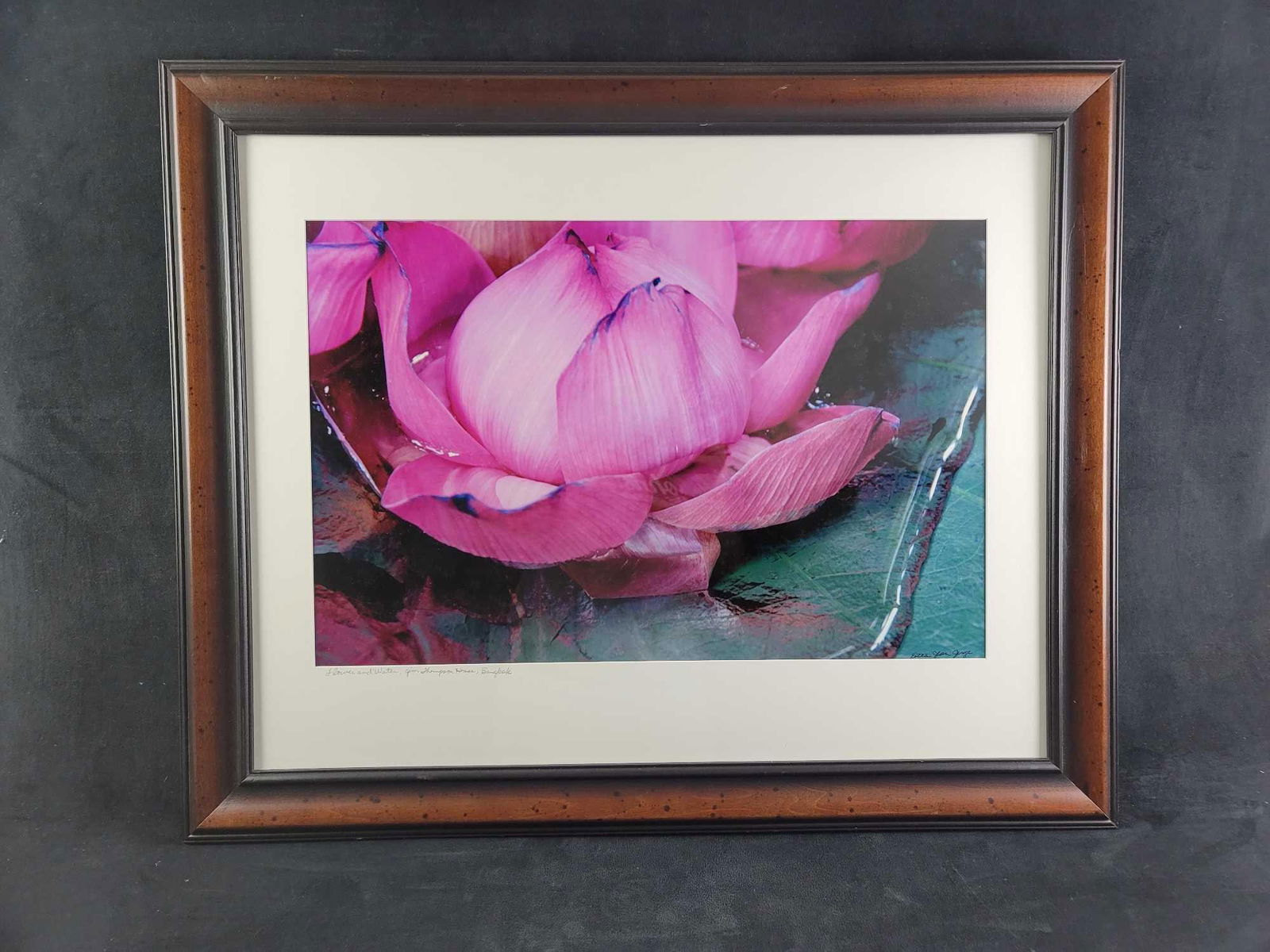 Lotus Lily Flower and Water Photograph by Etta Jean Juge Nature: The photograph is of a flower that looks like a water lily or lotus flower. Photo was taken by Etta Jean Juge. It is framed and ready to hang. In good condition, with no known damages. Approx.