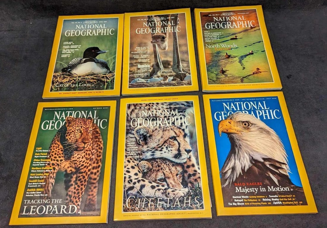 6 1980s 1990s 2000s National Geographic Magazines V: 6 1980s 1990s 2000s National Geographic Magazines V. This lot includes: (1) June 1982 - Namibia Nearly A Nation. (1) November 1997 - North Woods Journal. (1) April 1989 - Cry Of The Lo