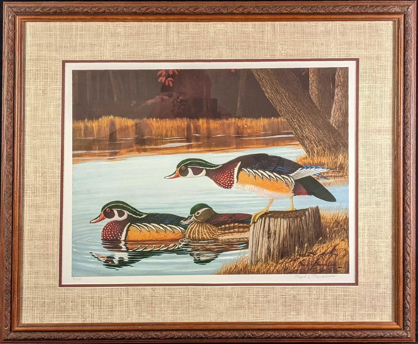 Framed Karl Karalus Wood Ducks Limited Edition Signed Lithograph: Subject: Wood Ducks Size:29 1/2" x 1" x 24 1/2". Weight (with bonus):10lbs. Limited Edition Lithograph. #4 out of #600 Bon