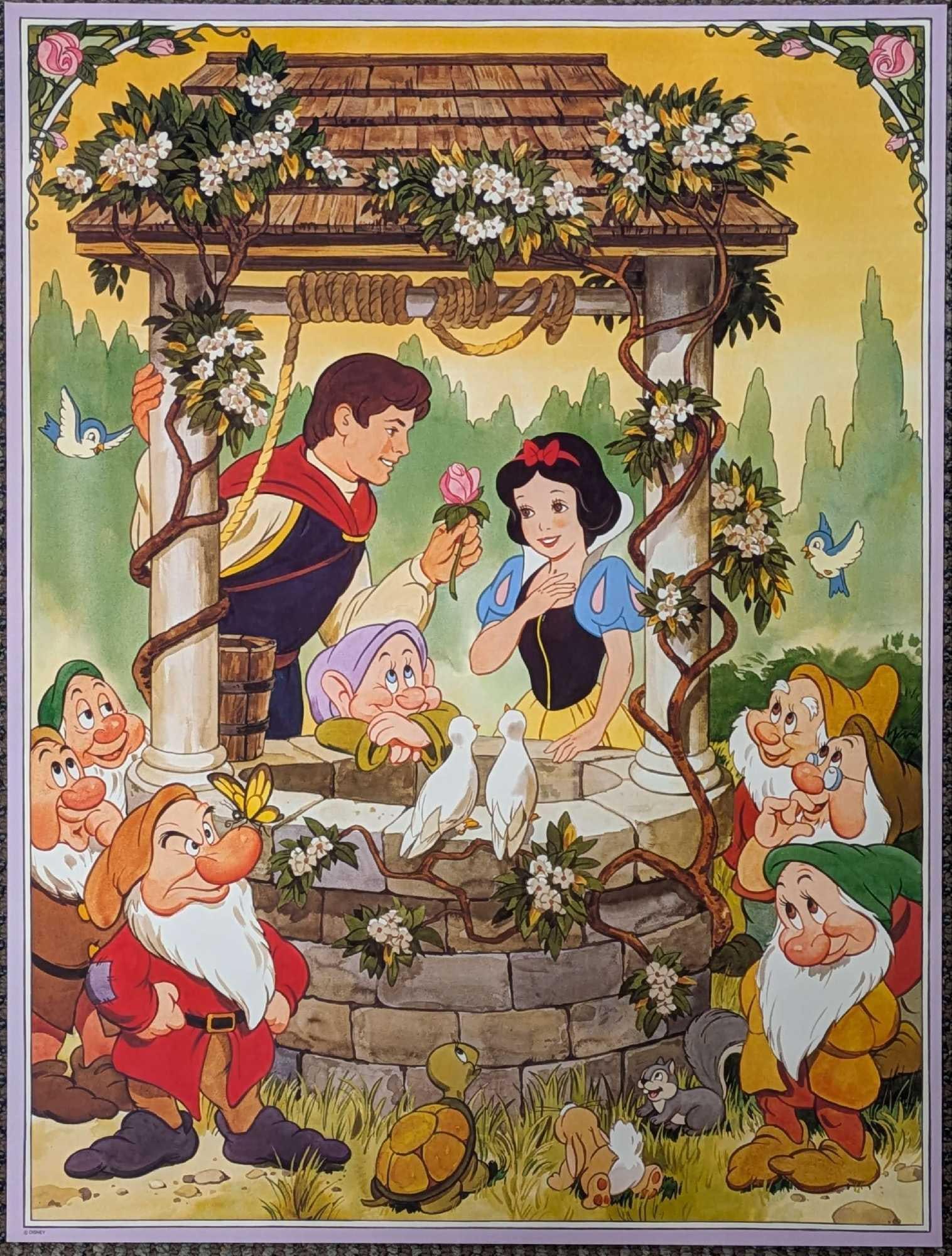 Disneys Snow White Seven Dwarfs Movie Poster: Disneys Snow White Seven Dwarfs Movie Poster. Poster from Disney's hit animated classic movie, Snow White Seven Dwarfs. From the 1980s. The poster is approx 18" x 24" and it weighs under one poun