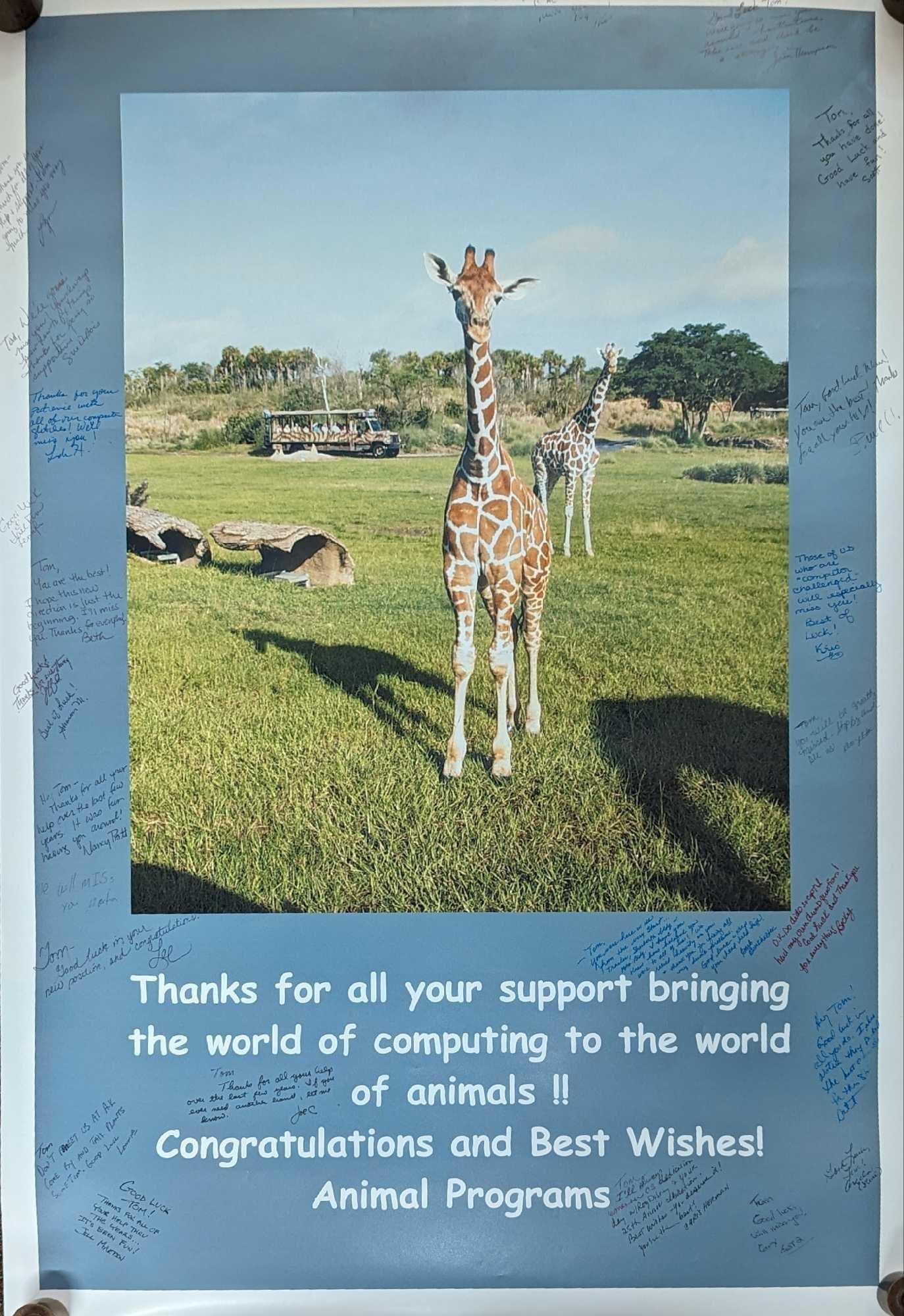 Disney Cast Member Signed Animal Kingdom Poster: Disney Cast Member Signed Animal Kingdom Poster. Here is a digital photo poster that was dedicated to a Disney cast member who was either retiring from the company or moving to a new division.&nb