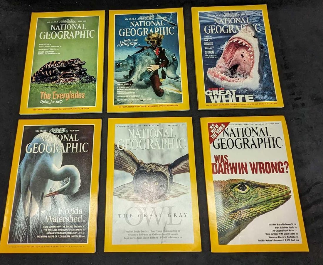 6 1980s 1990s 2000s National Geographic Magazines B: 6 1980s 1990s 2000s National Geographic Magazines B.. This lot includes: (1) January 1989. Ballet With Stingrays.(1) April 2000. Inside The Great White.(1) April 1994. The Everglades Dying For