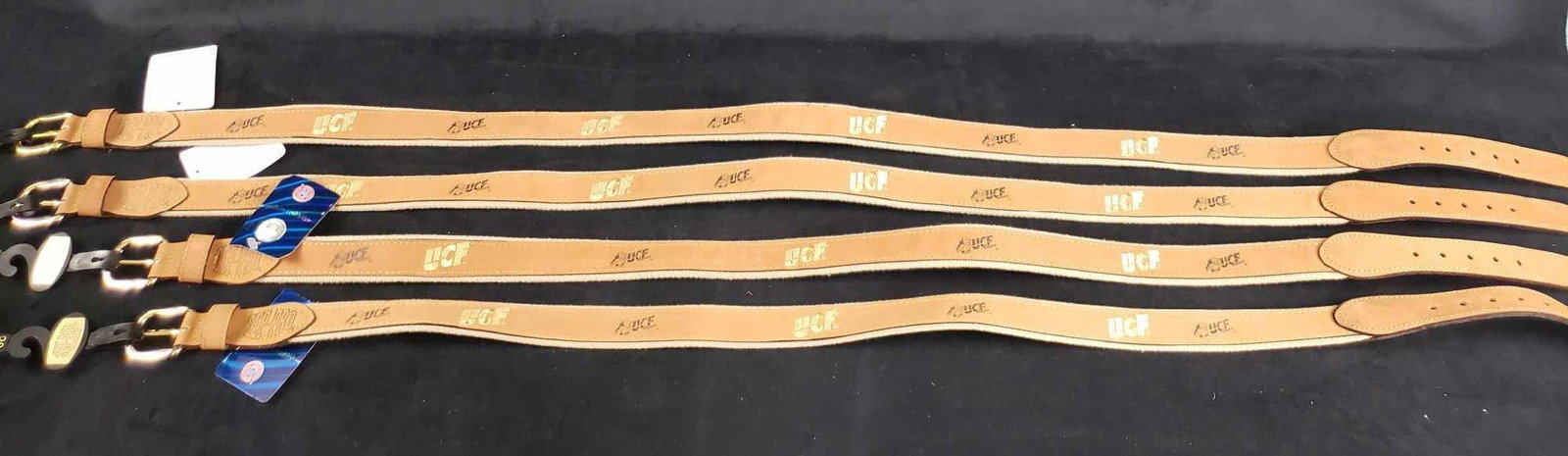 Set of 4 Zep-Pro UCF Leather Belts: Set of 4 Zep-Pro UCF Leather Belts. This lot of leather belts is new old stock. The belts have never been worn and have no damage to them. The belts come in size 36, 42, 38, and 44.