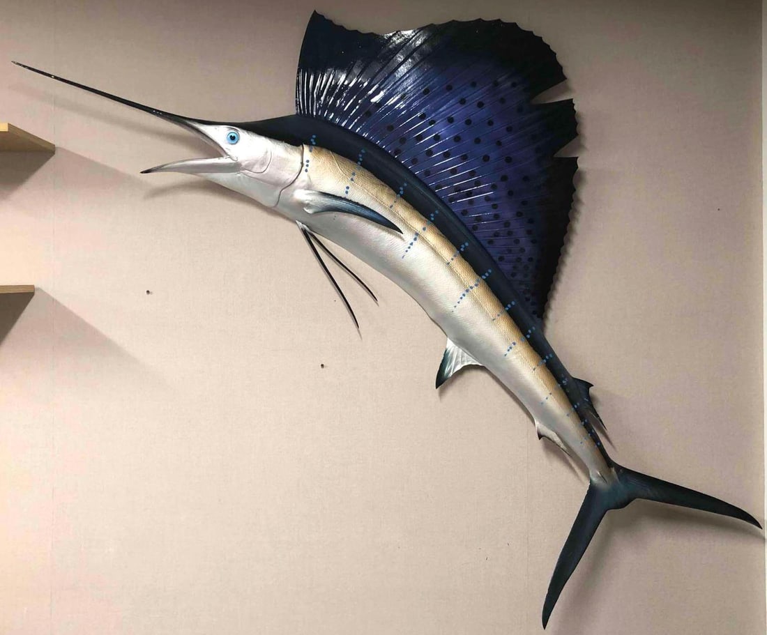 Sailfish Half Mount Wall Hanging: This lot contains a Sailfish half mount wall hanging. This sailfish can be used as indoor or outdoor decor as it has been made to withstand conditions for both. This is perfect decor for any man cave.