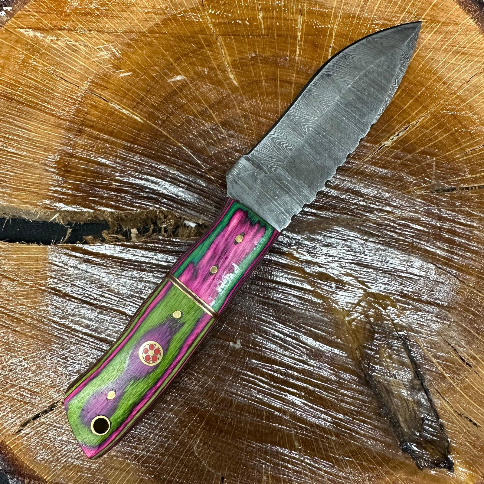 MHS Cutlery Fixed Blade Knife Green Pink Handle P81: Fixed blade knife by MHS Cutlery featuring a layered patterned steel blade and decorative spine work. The handle features a contoured, wood/epoxy resin-style grip with a green, pink, and purple hue wi