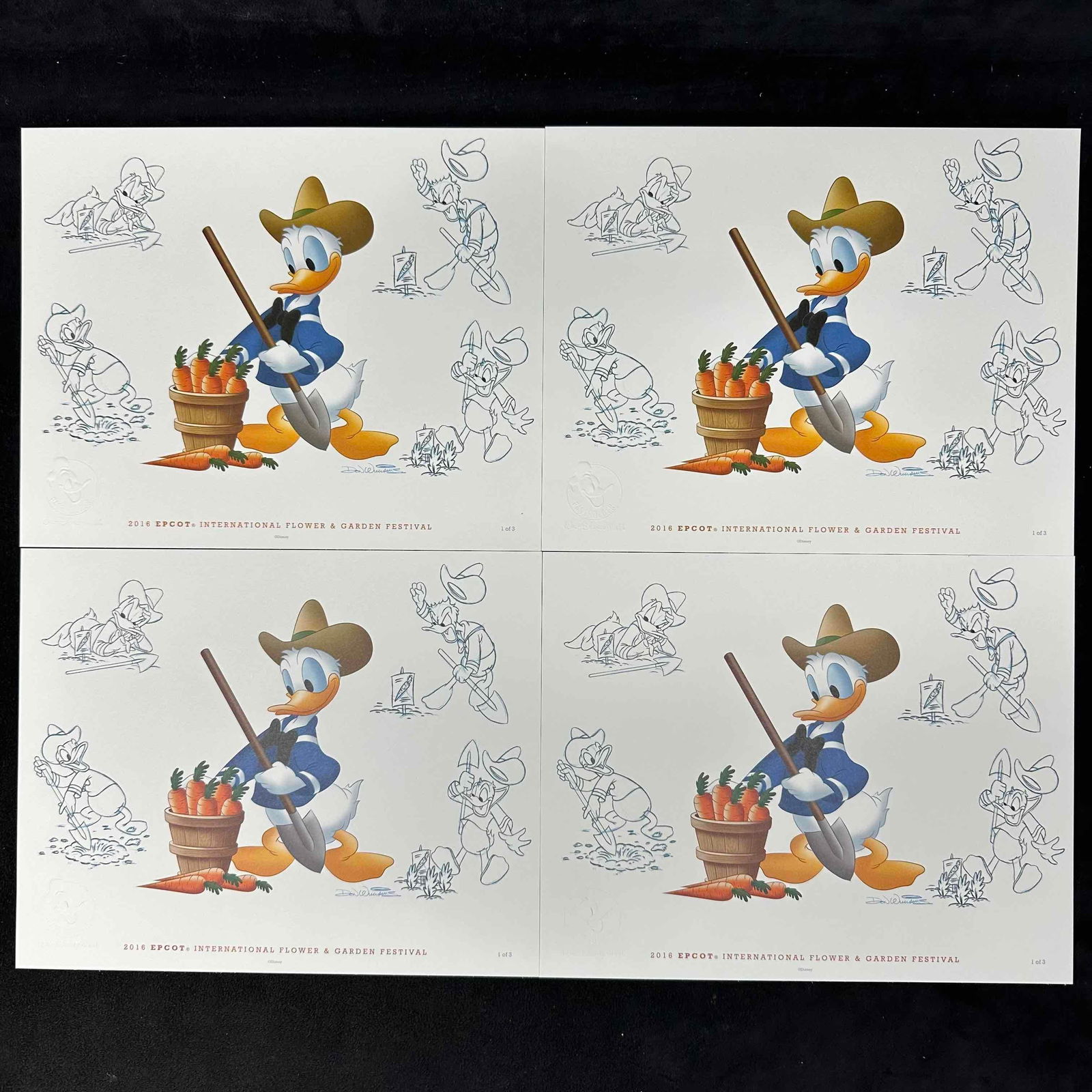 Epcot Flower and Garden Festival Donald Duck Passholder Print Lot of 4: Set of four 2016 Epcot International Flower and Garden Festival Passholder sketch prints featuring Donald Duck with shovel and carrots. Includes original Mickey Mouse passholder envelope. Each print s