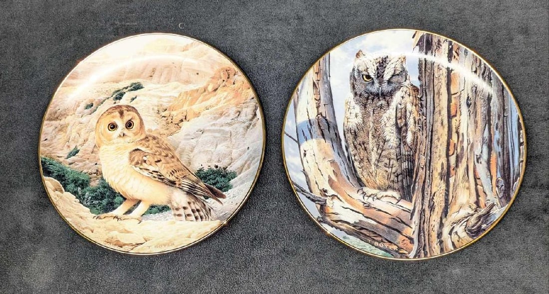 2 Majesty Of Owls Plates Perfect Disguise & On Desert Lord: 2 Majesty Of Owls Plates Perfect Disguise & On Desert Lord. This lot includes: (1) Perfect Disguise - The Majesty Of Owls Plate. This was released in the year 1992. This is approx 8 1/8" x 8 1