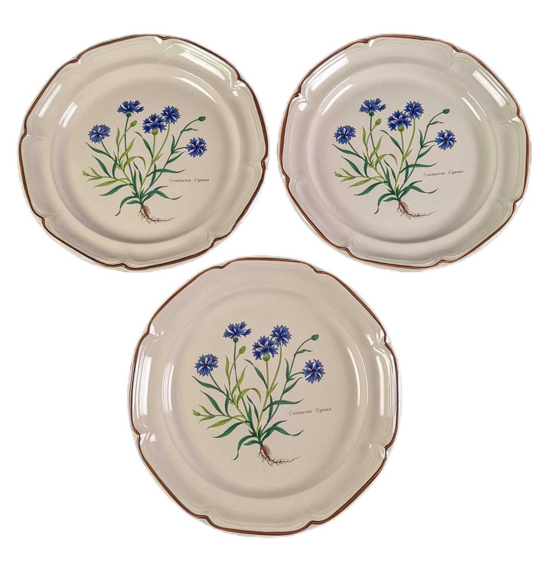 Three Sunmarc Botanical Garden Dinner Plates - 2