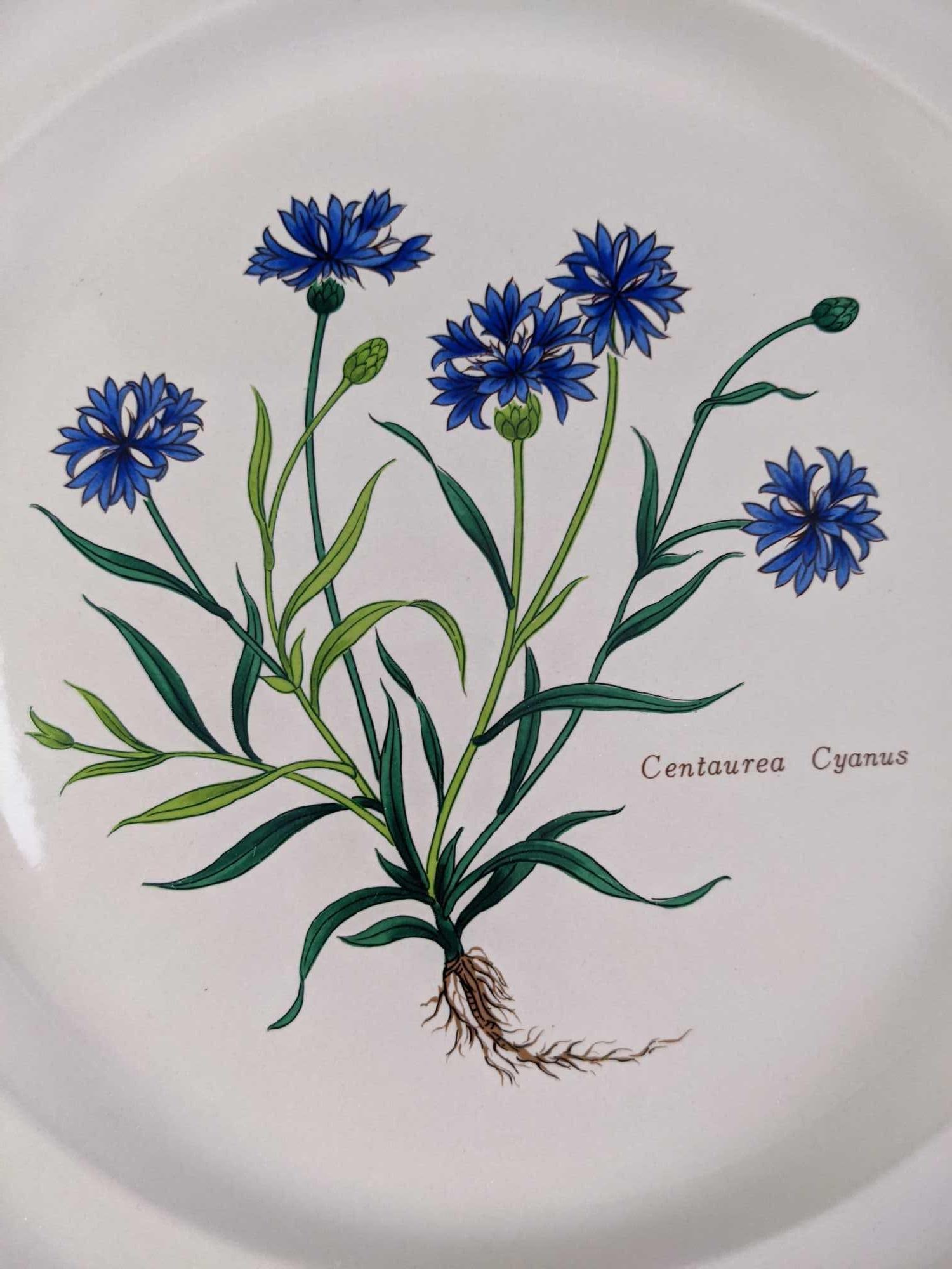 Three Sunmarc Botanical Garden Dinner Plates - 3