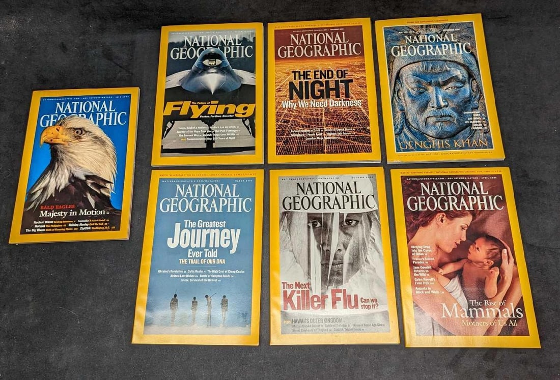 7 2000 1990s National Geographic Magazines: 7 2000 1990s National Geographic Magazines. This lot includes: (1) November 2008 - The End Of Night - Why We Need Darkness. (1) December 2003 - The Future Of Flying. (1) December 1996
