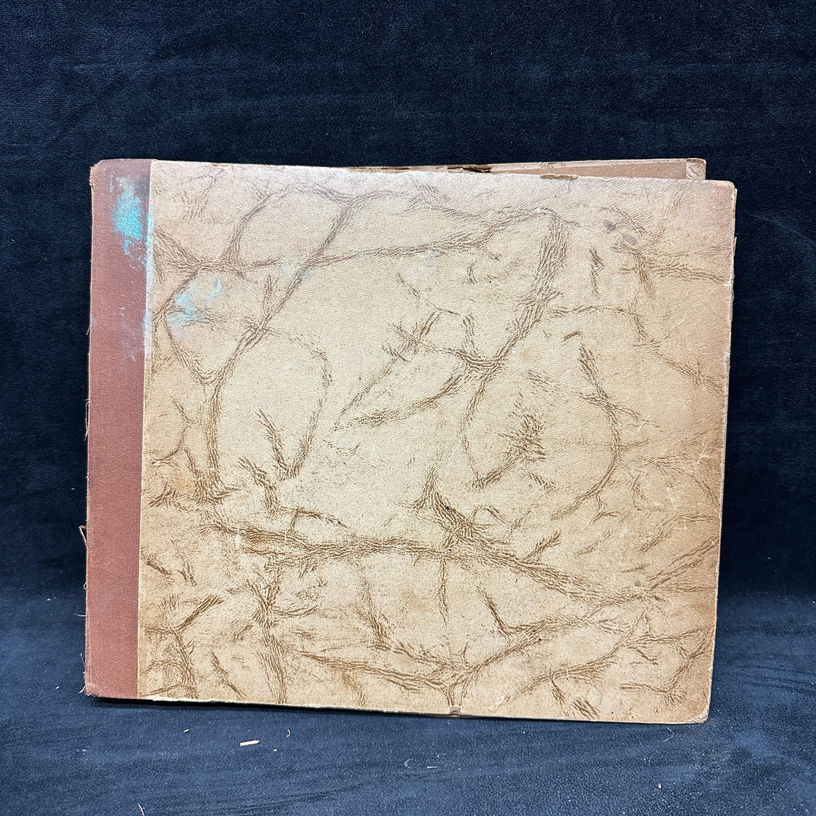 Grey Gull And Keh 78 RPM Record Album Collection Ten Records: Vintage paperboard record album containing assorted 78 RPM shellac records, including Grey Gull, Keh, and other early labels. Visible titles include “I Wonder What’s Become of Sally,” “Awa