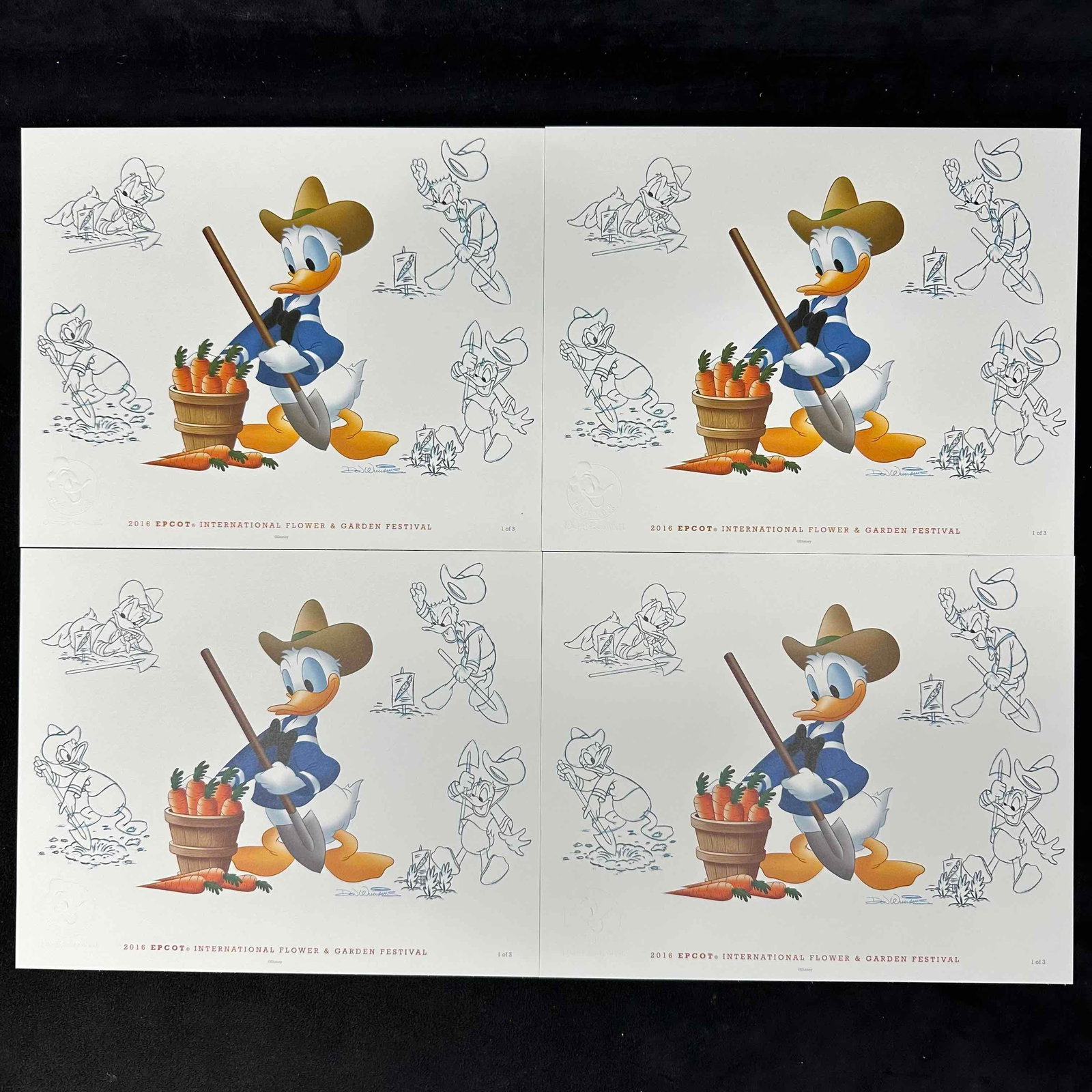 Epcot Flower and Garden Festival Donald Duck Passholder Print Lot of 4: Set of four 2016 Epcot International Flower and Garden Festival Passholder sketch prints featuring Donald Duck with shovel and carrots. Includes original Mickey Mouse passholder envelope. Each print