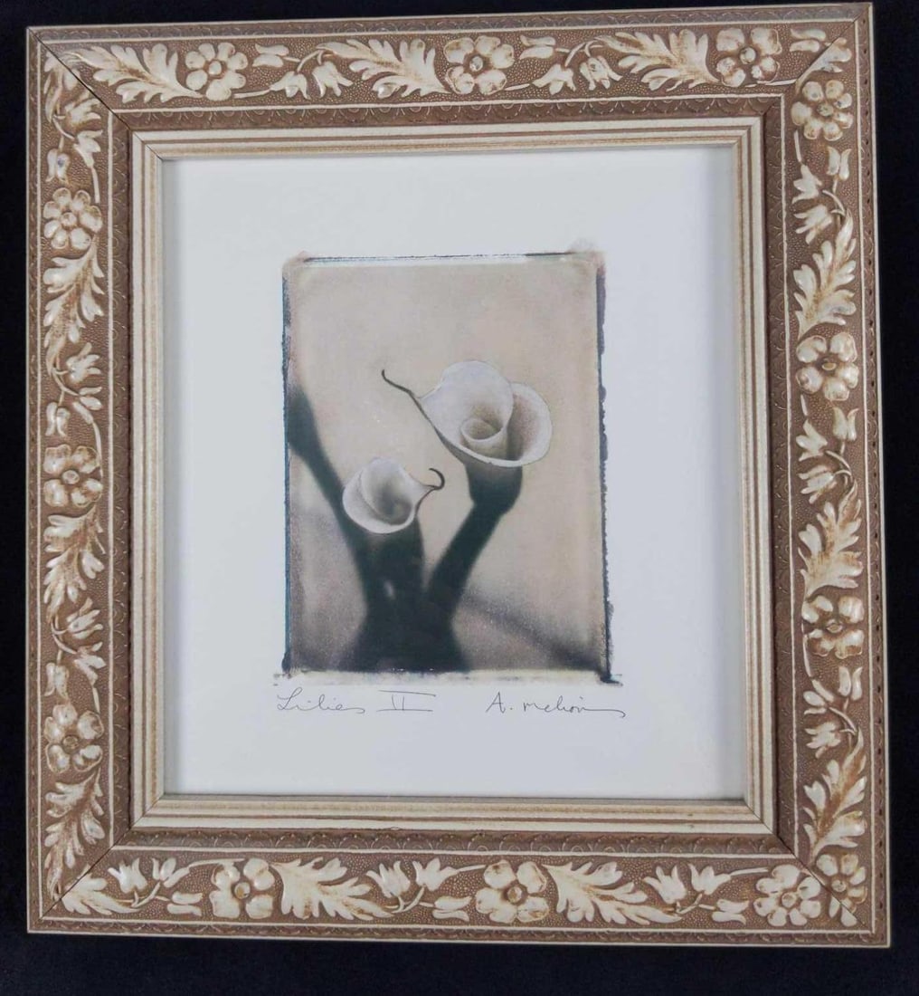 Amy Melious Framed Lily 2 Print Floral: Framed print of "Lily II" in a rather solid, distressed, and heavy resin frame that suits the subject and colors rather well. Framed print is approx 12" x 1" x 13". Print is