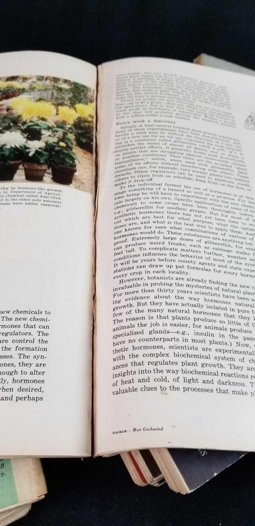 Fortune Magazines 1959 With Index - 10