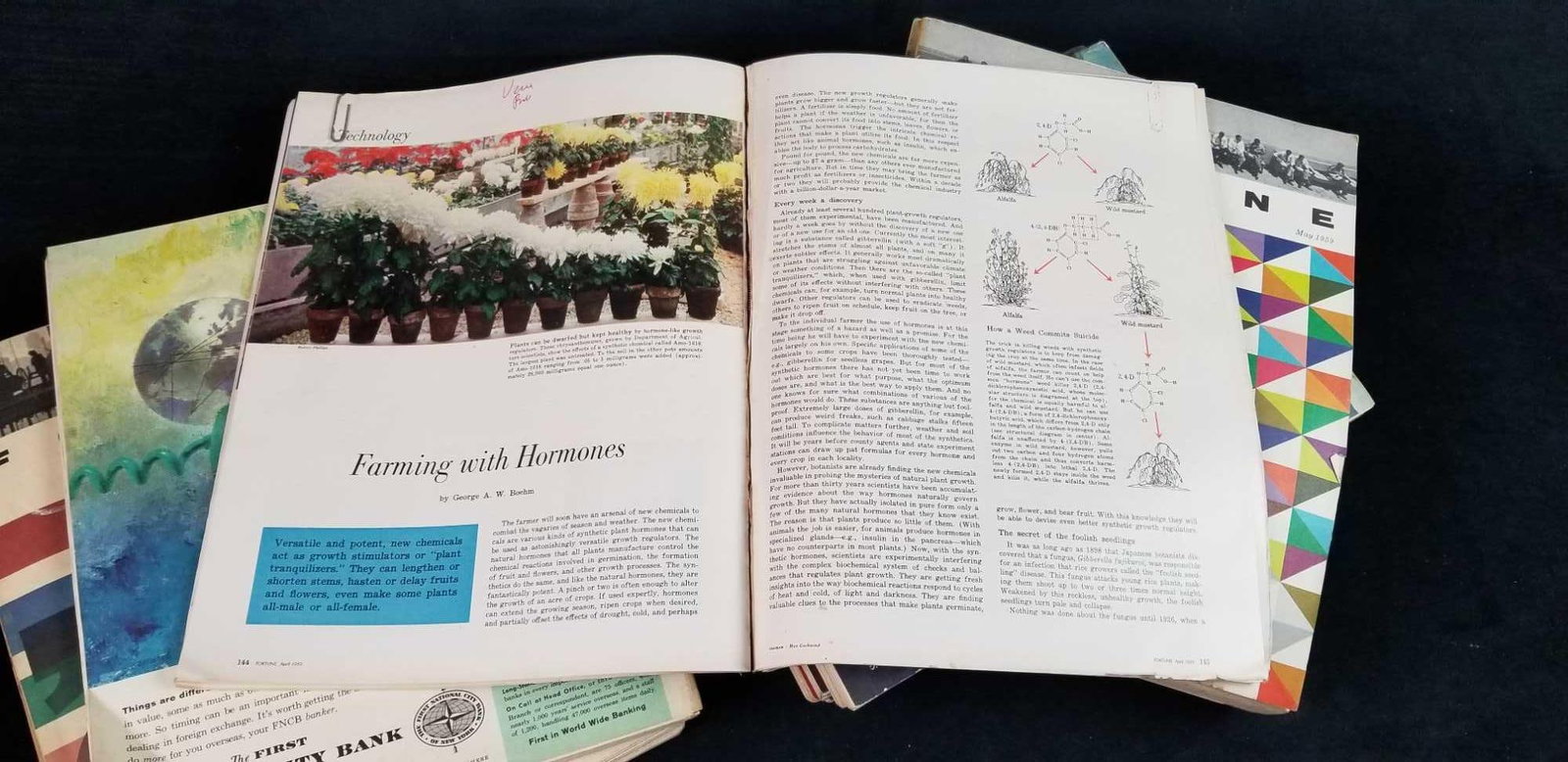 Fortune Magazines 1959 With Index - 4