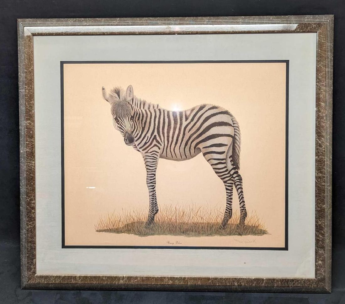 Framed Young Zebra Print By T.H. Farnsworth: Framed Young Zebra Print By T.H. Farnsworth. The framed print was signed by the artist on the bottom right of the print. The framed print is approx 33 1/4" x 1 1/4" x 29 3/4" and it weighs 12.50 lbs. 