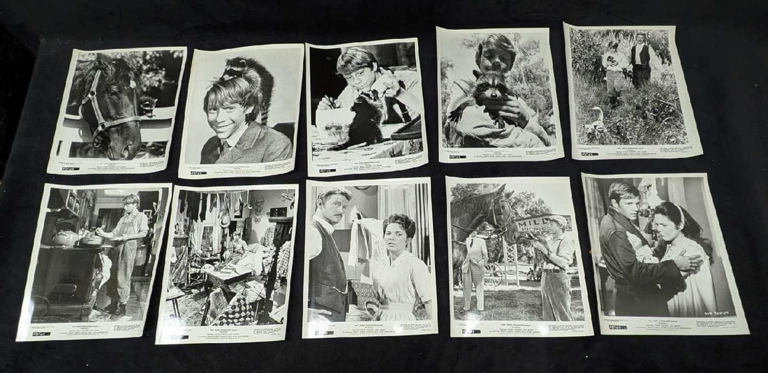 10 Disney Rascal B/W Publicity Photos Bill Mumy: 10 Disney Rascal B/W Publicity Photos Bill Mumy. Each photo is approx 10" x 8" and the weight is 0.23lb. There is some shelf wear on the envelope the photos come in.