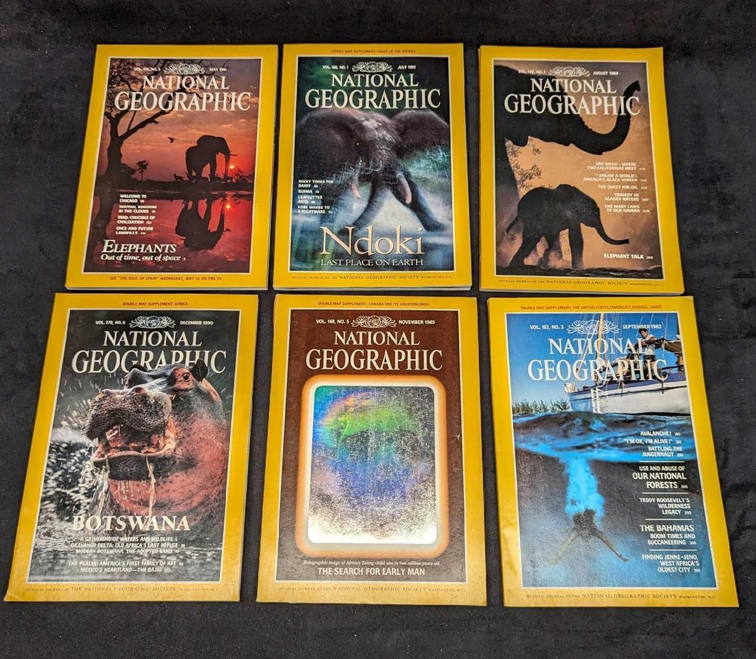 6 1980s 1990s National Geographic Magazines I Hologram: 6 1980s 1990s National Geographic Magazines I Hologram. This lot includes: (1) July 1995 - Ndoki Last Place On Earth. (1) August 1989 - Elephant Talk. (1) May 1991 - Elephants Out Of Time, Out Of