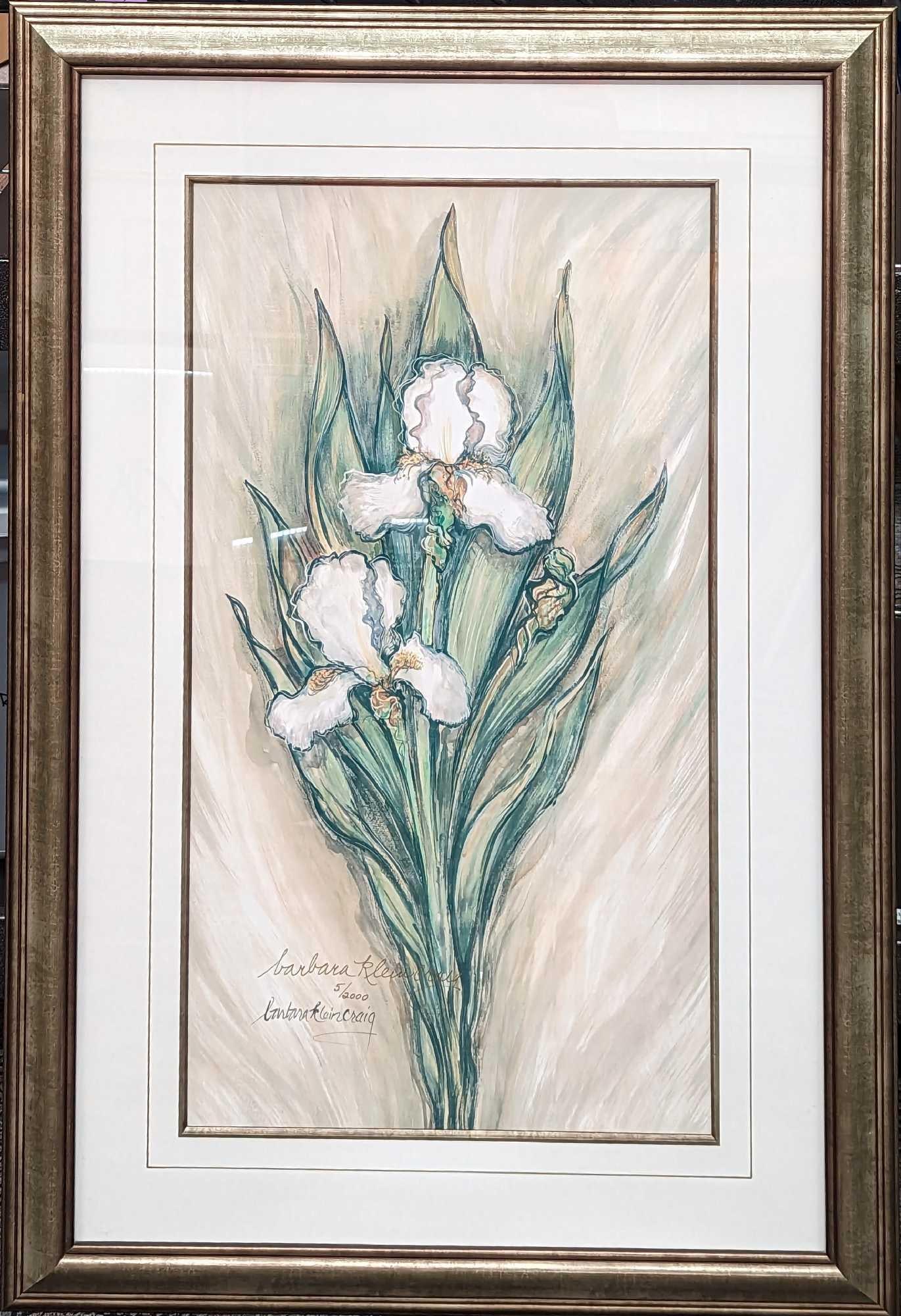 Framed S&N Barbara Klein-craig Floral Print (1 of 5)