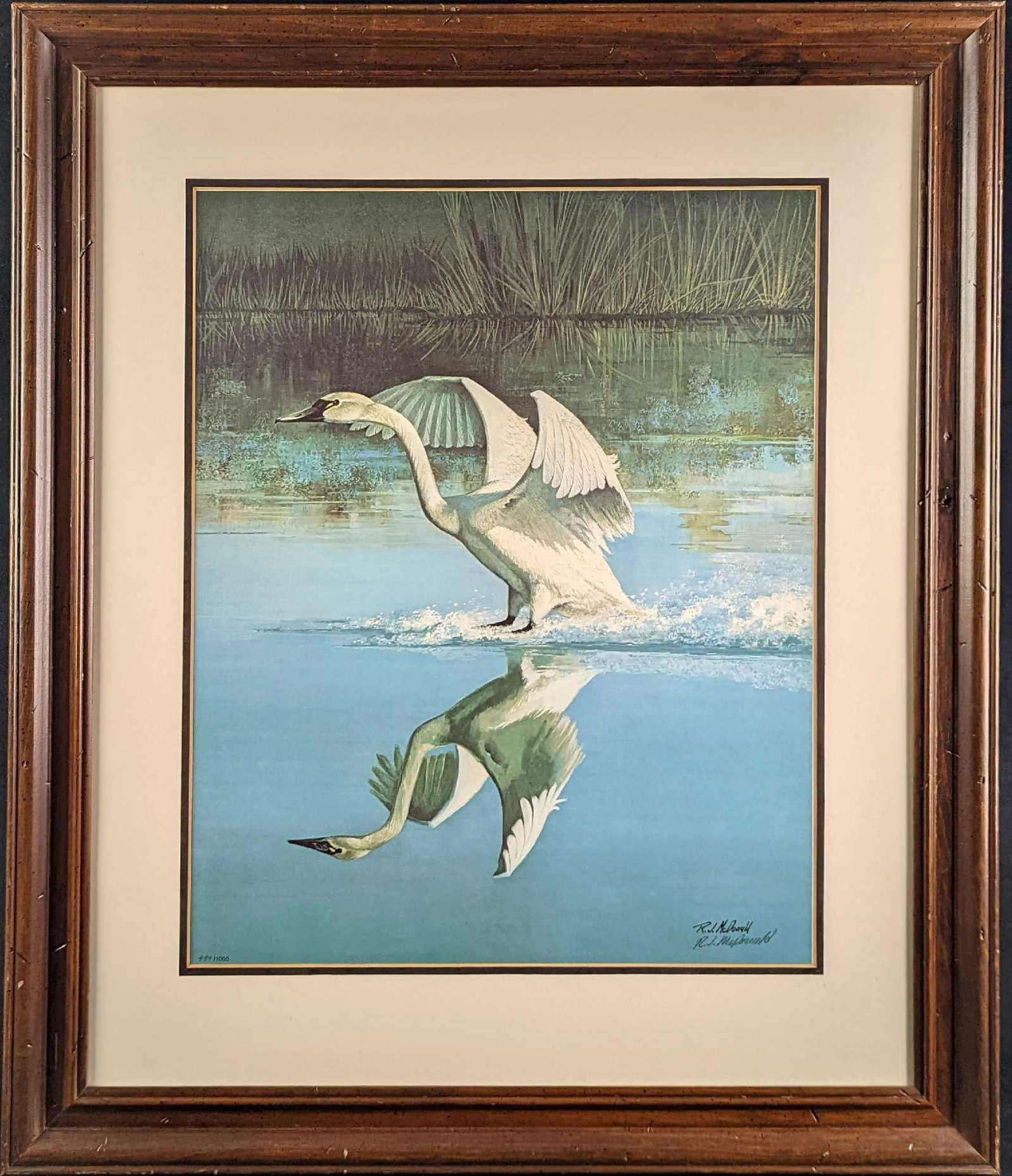 F39 Framed LE Ralph McDonald Whistling Swan Print (1 of 9)