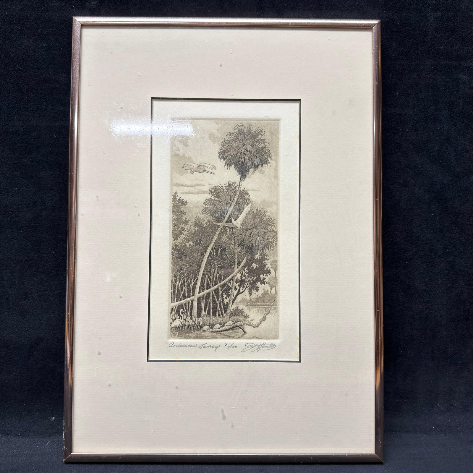 David Hunter Corkscrew Swamp Framed Limited Edition Etching Signed 95/100: Original limited edition etching titled "Corkscrew Swamp" by Florida artist and printmaker David Hunter. Pencil titled lower left, numbered 95/100 at center, and hand-signed by the artist lowe