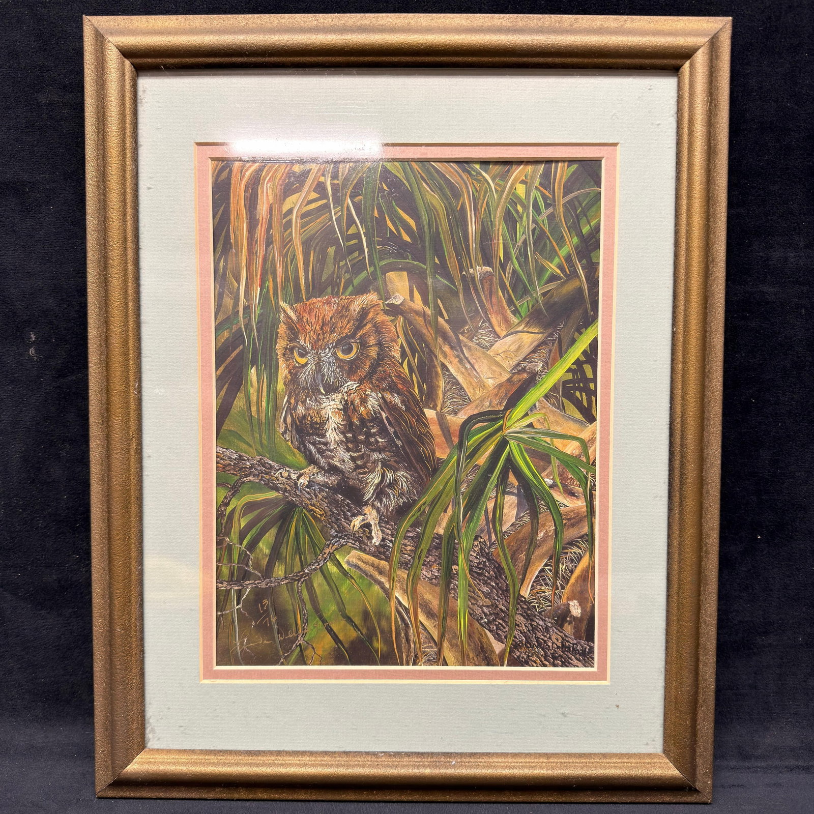 Unknown Artist Framed Owl Wildlife Print Signed and Numbered: Framed wildlife print depicting an owl perched among dense tropical foliage. The work bears an indistinct signature and edition notation that appears to read 13/76. Artist remains unidentified. This i
