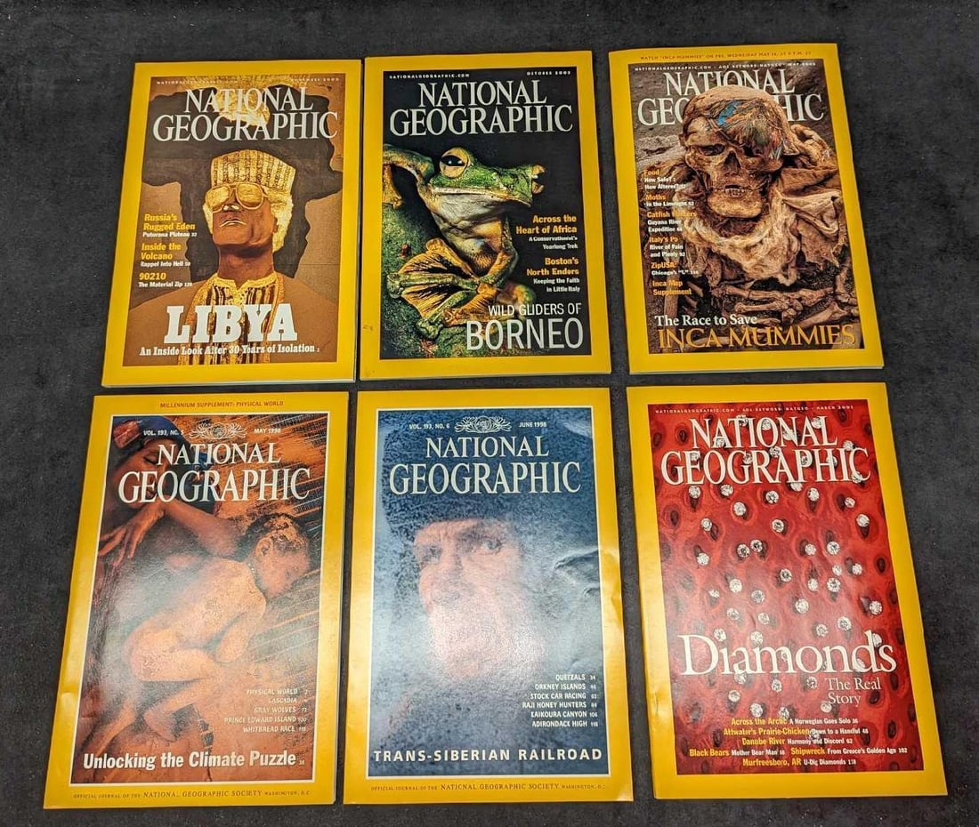 6 1990s 2000s National Geographic Magazines E