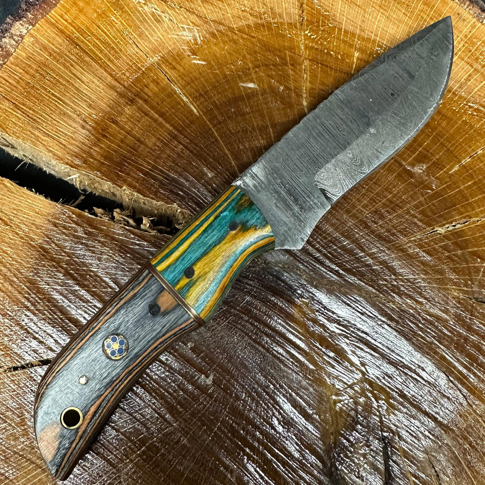 MHS Cutlery Knife Steel Drop Point Blade P67 Multi Colored Handle: Fixed blade knife by MHS Cutlery featuring a patterned steel blade. The handle features a contoured, multi-colored wood/epoxy resin-style grip with metal mosaic pin accents. Includes a fitted brown le