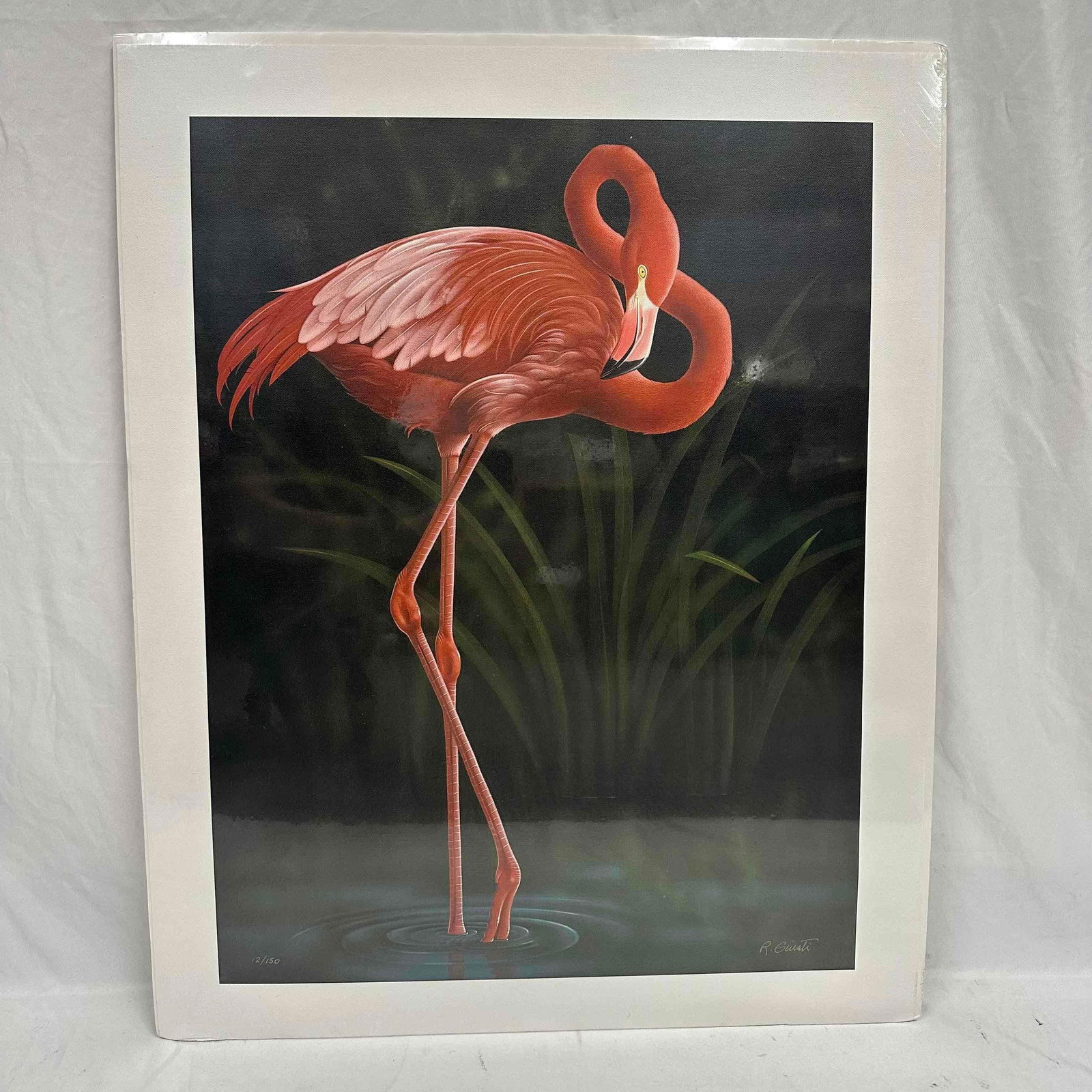 R. Giusti Pink Elegance Limited Edition Giclee Art Print Flamingo 12/150