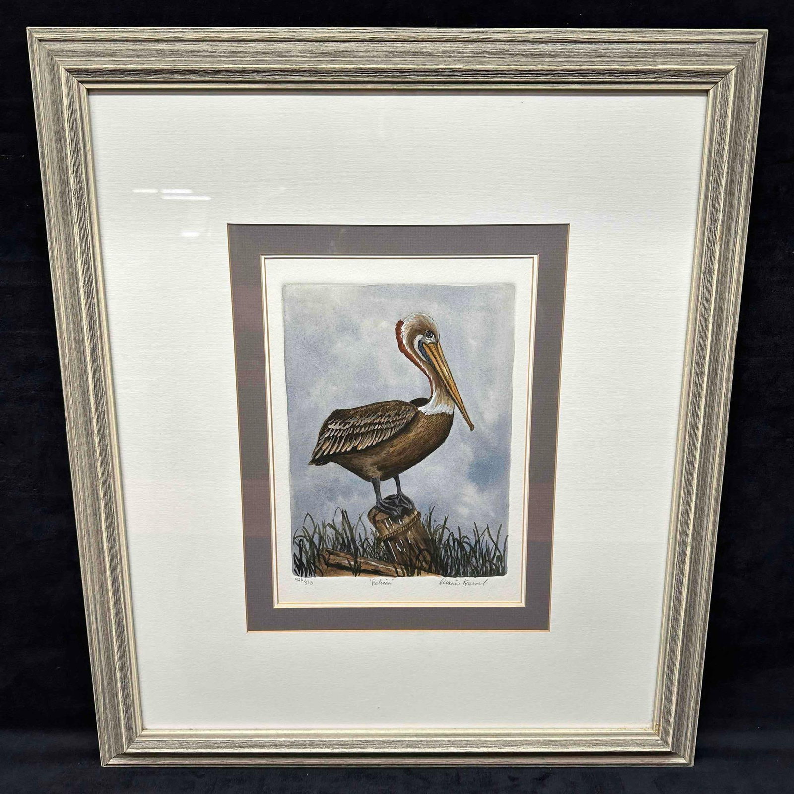Pelican Dianne Krumel Color Etching Framed Nature Artwork: Signed by the artist in the bottom right corner, titled, and numbered. Edition 423/520. Etching process and Certificate of Authenticity on the back of the frame. This item is in pre owned, previously 