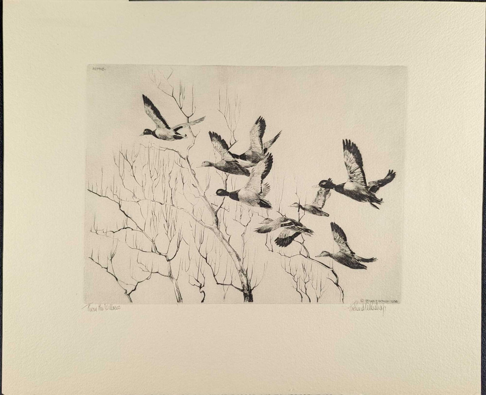 Original Richard E Bishop Etching: Original Richard E Bishop Etching; Titled "Thru The Willows". This talio-crome print reproduction is unframed and in excellent condition. Is approx 15" x 12 1/2" and it weighs 0.06lb. There are a few 