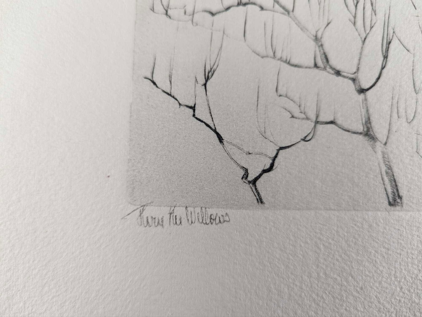 Original Richard E Bishop Etching - 4
