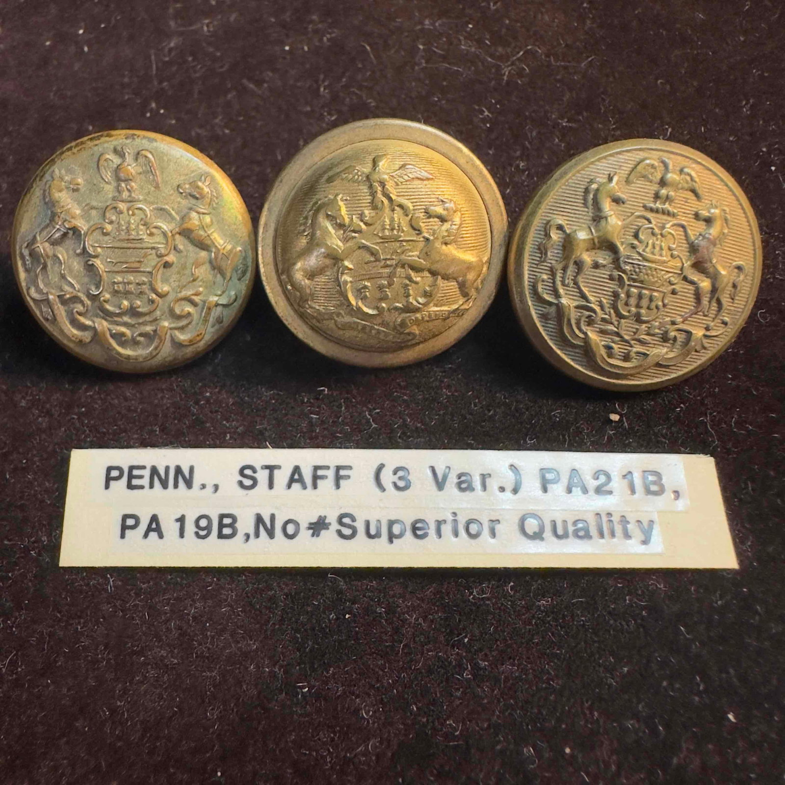 Pennsylvania Staff Military Button Set Lot of Three