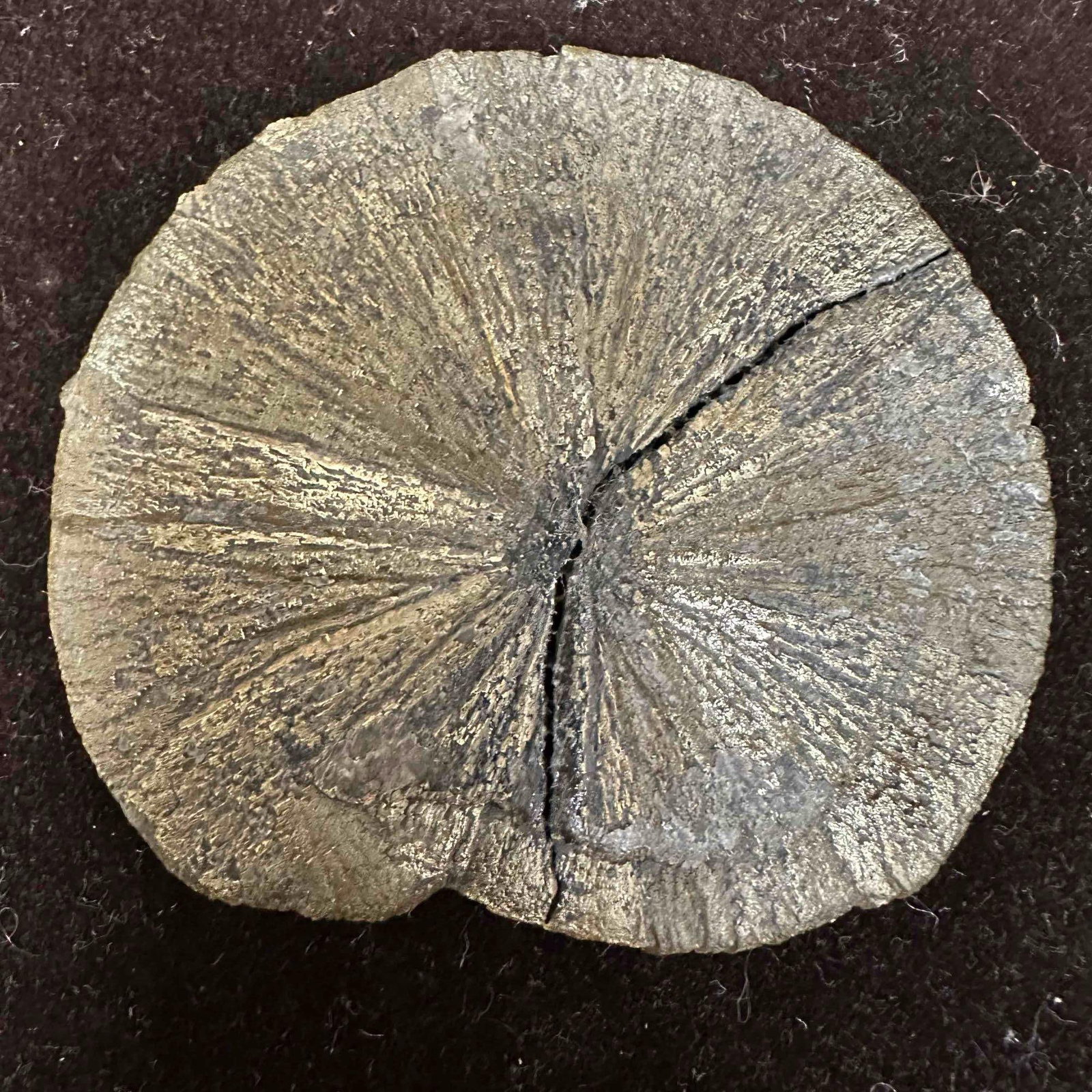 Pyrite Sun Large Shiny Miner’s Sand Dollar Crystal Fools Gold Repaired Broken: This collectible piece has been repaired. Broken piece with noticeable previous repair. This item is in good pre-owned, previously displayed condition with light wear, and surface scratches. Please re