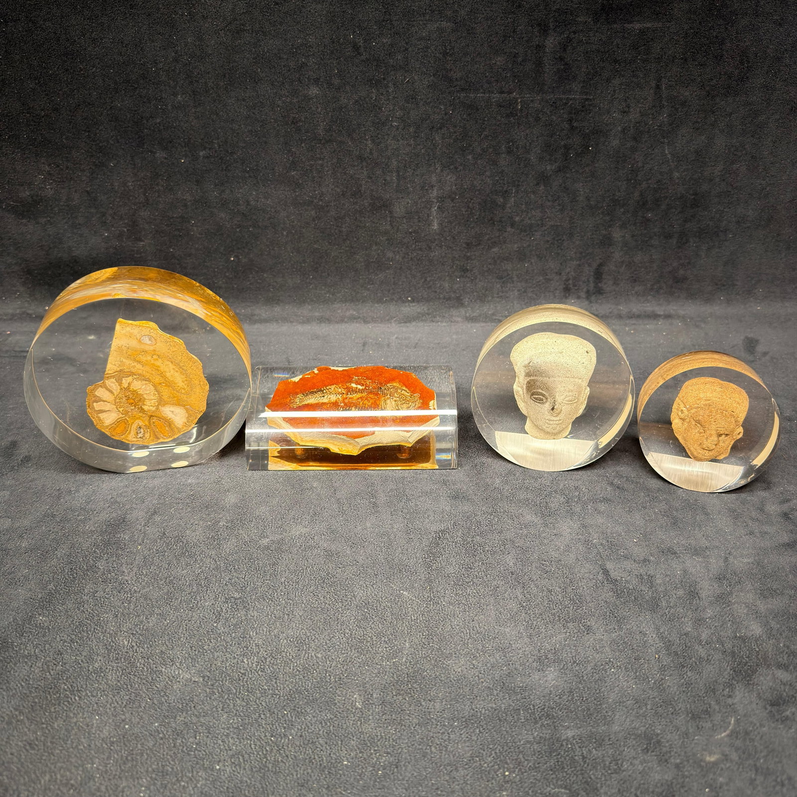 Bernard Drummond Ltd Lucite Encased Fossil and Pre-Columbian Artifact Collection (1 of 13)
