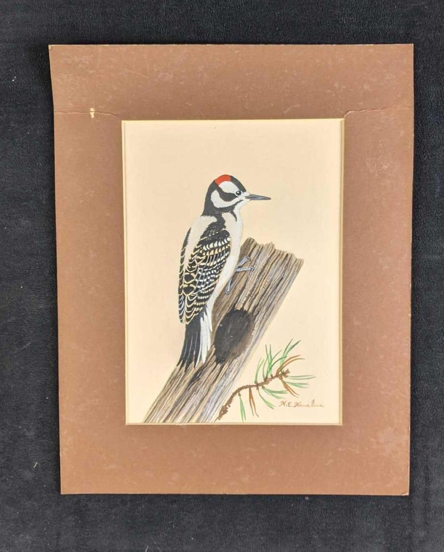 Downy Woodpecker by Karl Karalus: Subject: Downy Woodpecker Size: 14in x 11in Weight: 5oz Medium: Watercolor This painting is not framed, it is only matted. Karl Karalus (1926-2013) was an illustrator and wildlife painter.