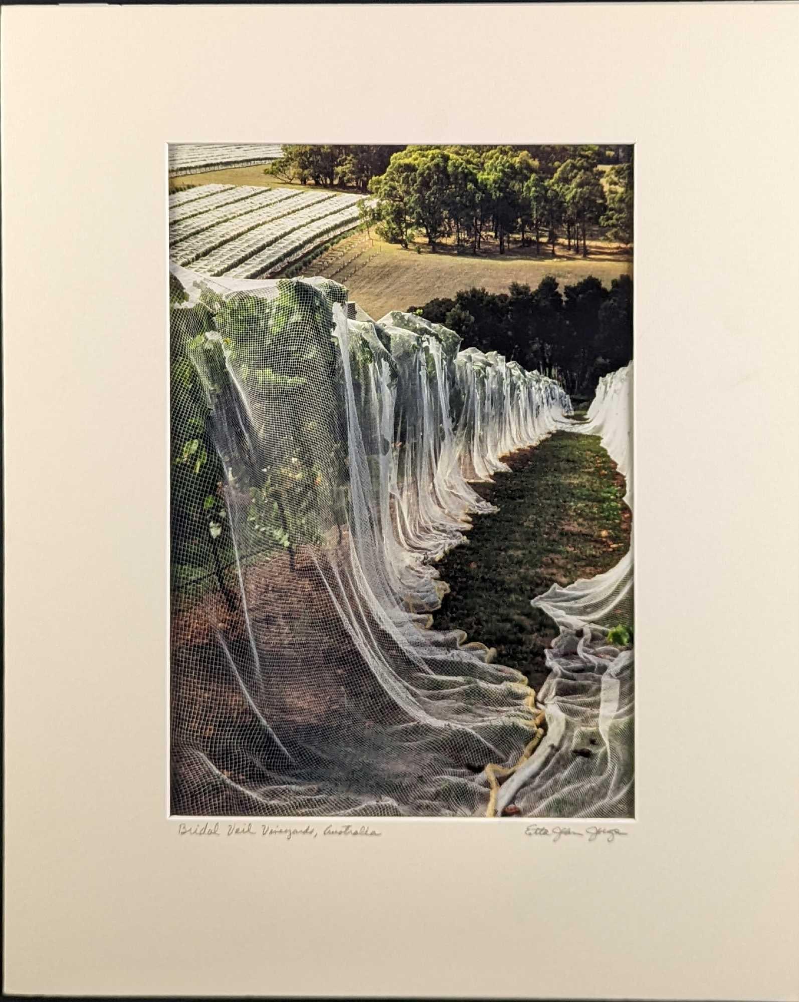 Matted Etta Jean Juge Bridal Veil Photo: Matted Etta Jean Juge Photograph . The matted photo is approx 16" x 20" and it weighs 0.60lb. The image is approx 9" x 13 1/2". The matted photo is in a good, unused condition with