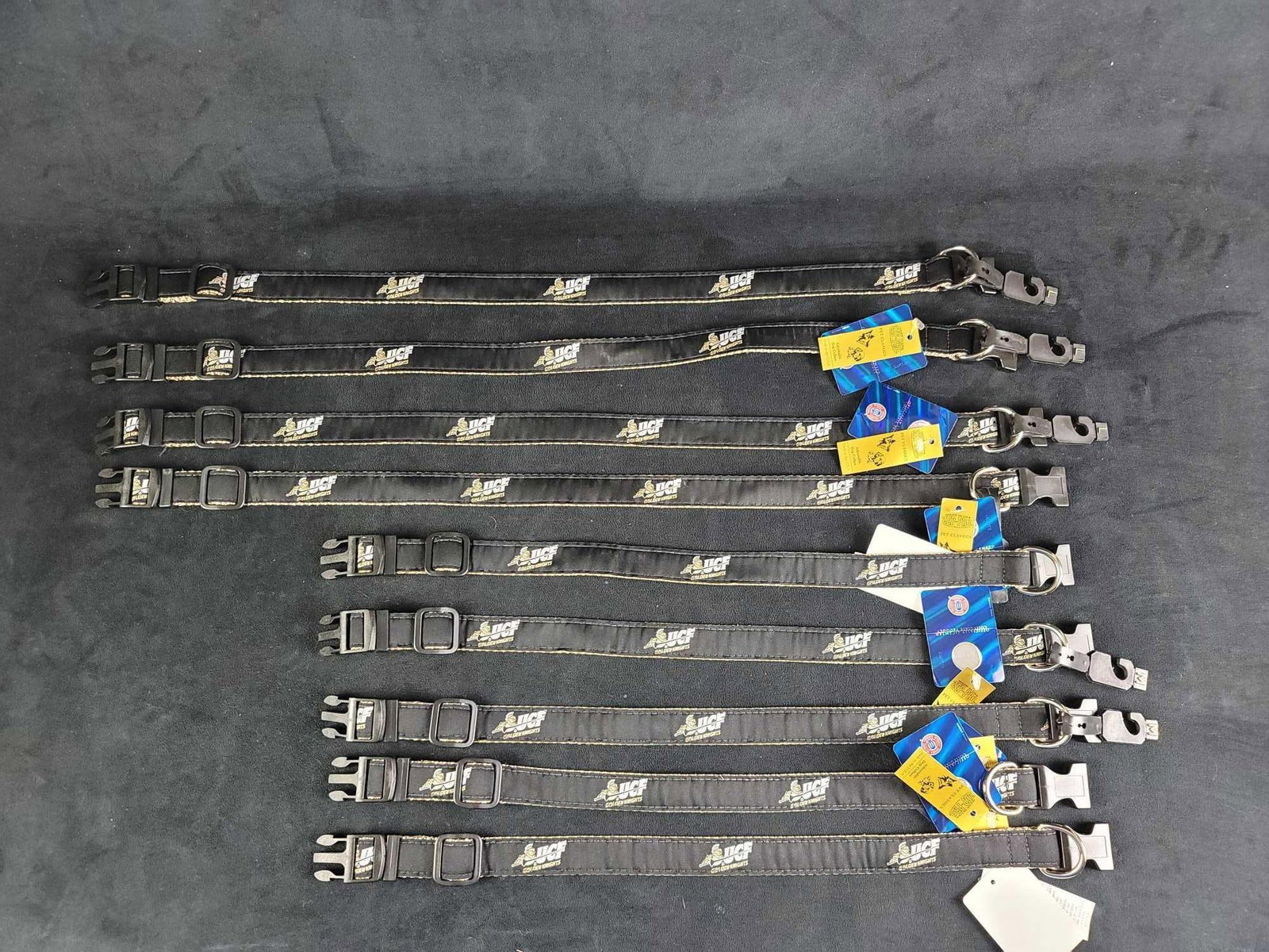 UCF College Football Logo Dog Collars C: Lot contains 9 Black knight UCF logo dog collars, collars are adjustable and in an unused condition. 4 of them are a Size Large, and 5 of them are a size Medium. Made in the USA by Zep Pro. Plastic
